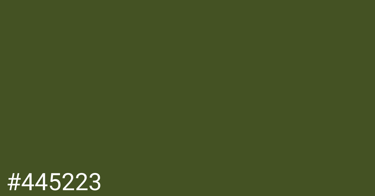 Hex color #445223 graphic