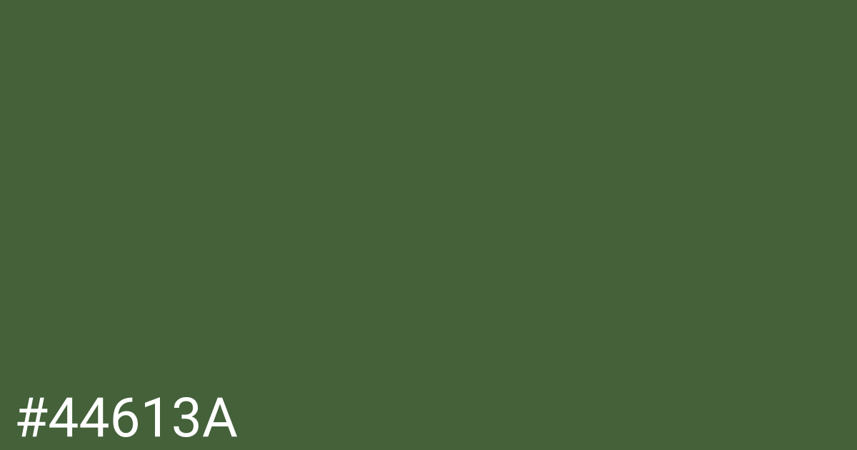 Hex color #44613a graphic