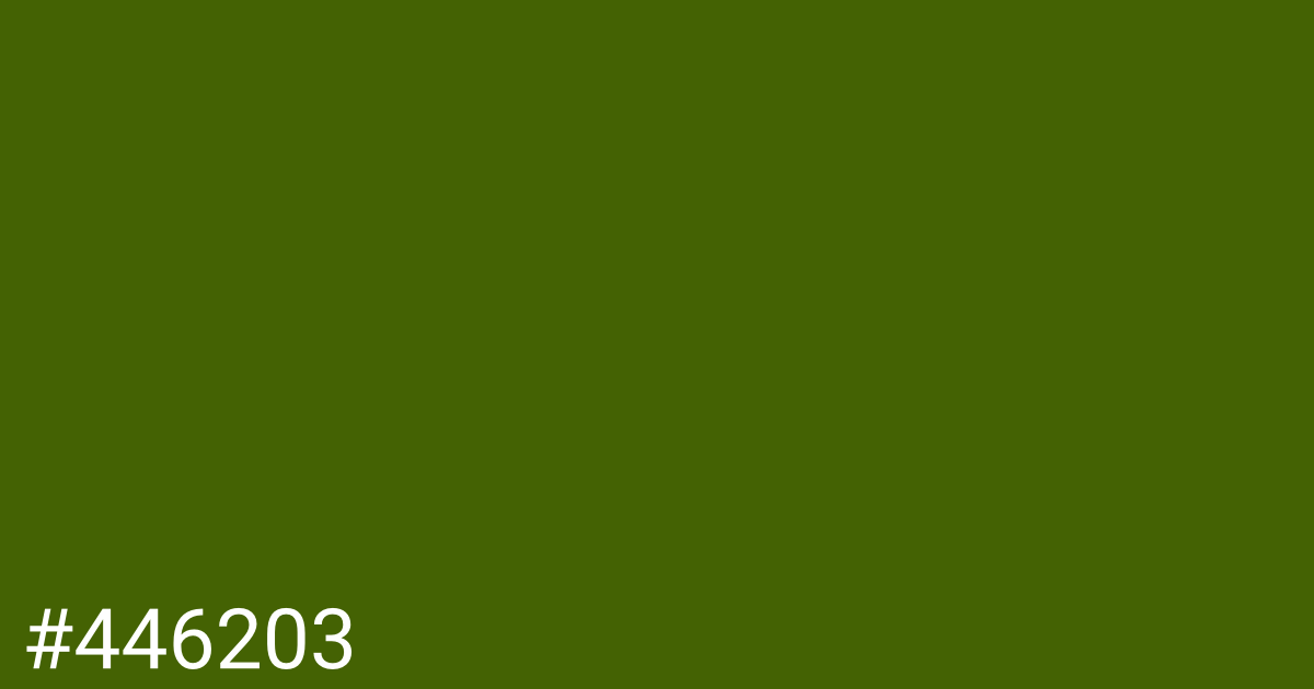 Hex color #446203 graphic