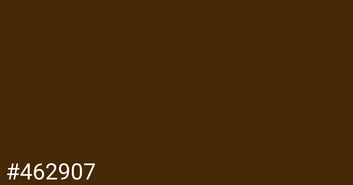 Hex color #462907 graphic