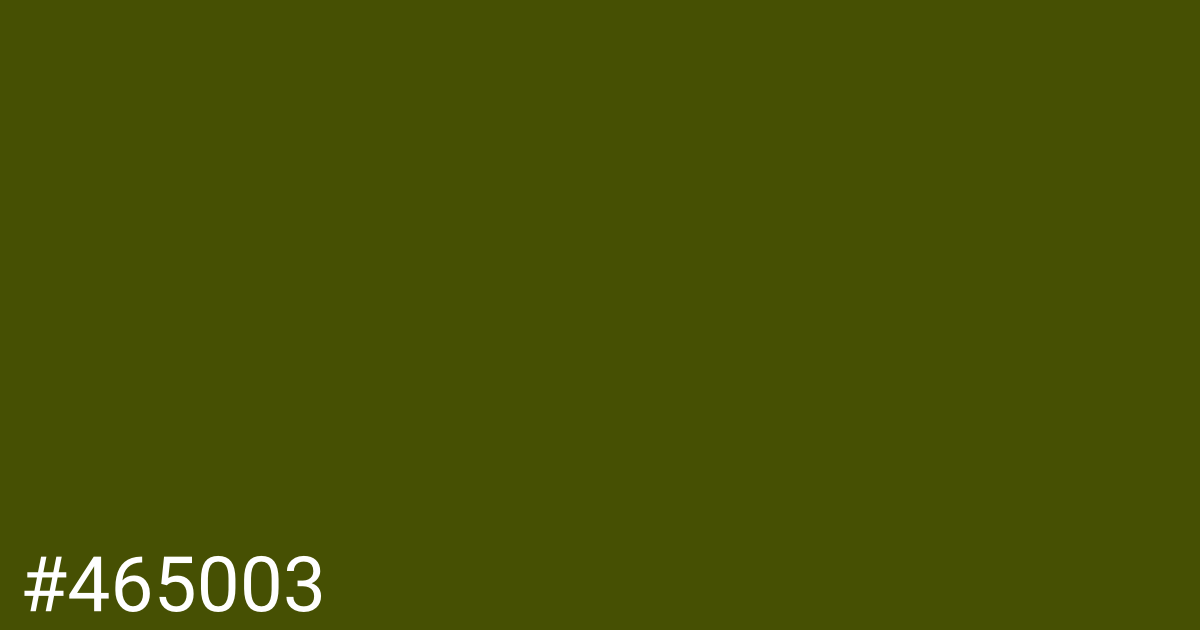 Hex color #465003 graphic