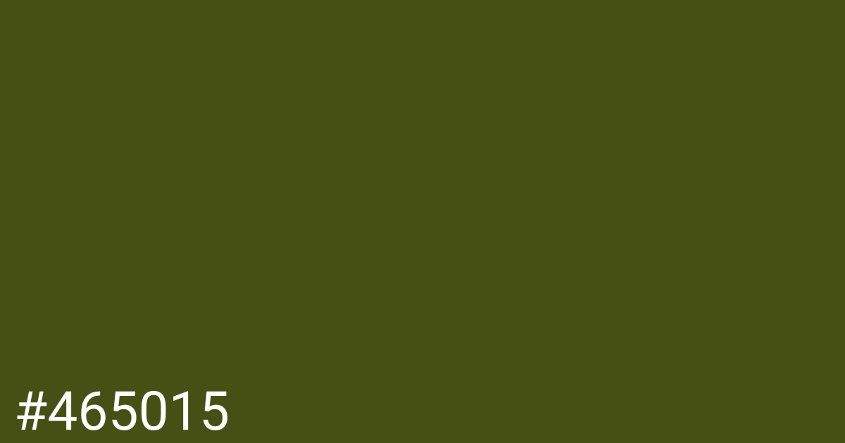 Hex color #465015 graphic