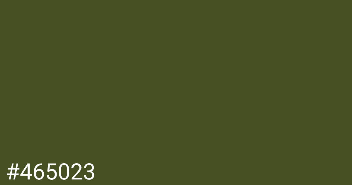 Hex color #465023 graphic