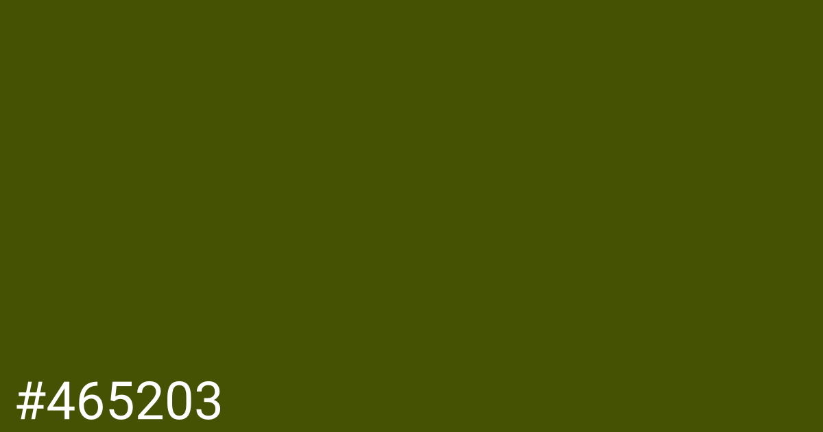 Hex color #465203 graphic