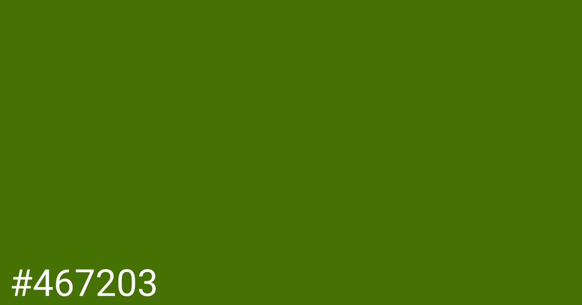 Hex color #467203 graphic