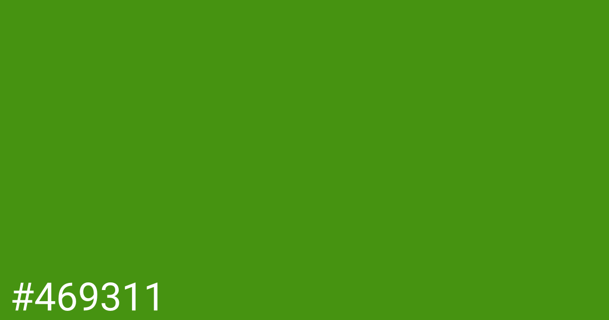 Hex color #469311 graphic