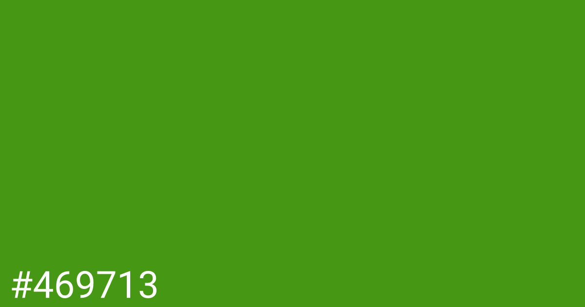 Hex color #469713 graphic