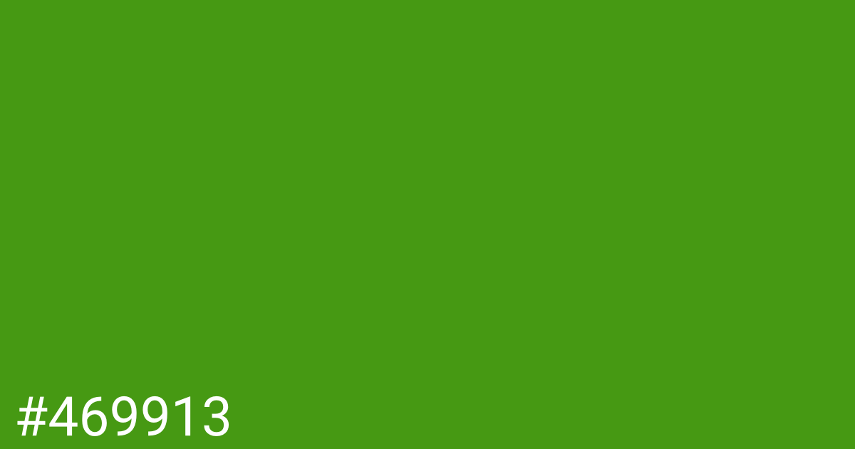 Hex color #469913 graphic