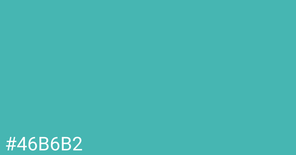 Hex color #46b6b2 graphic