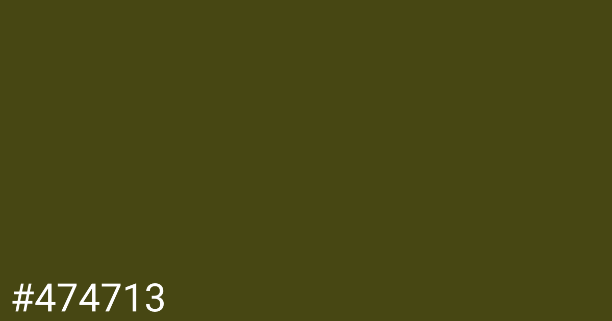 Hex color #474713 graphic