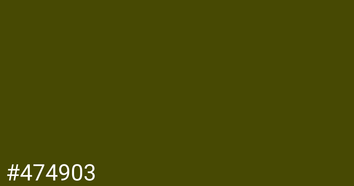 Hex color #474903 graphic