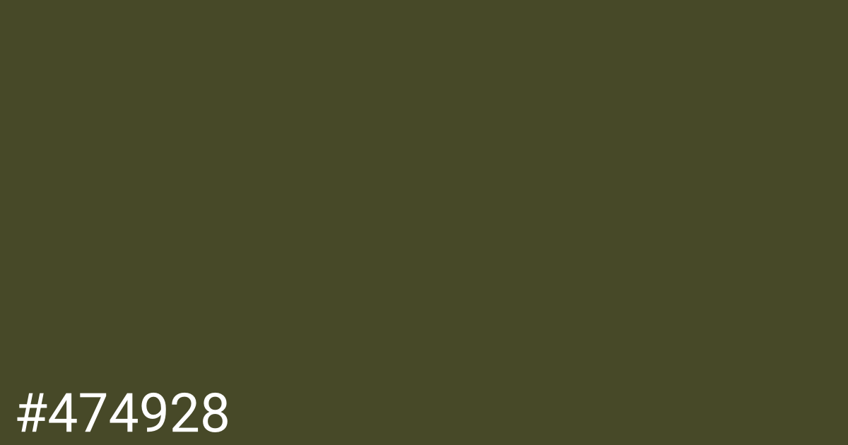 Hex color #474928 graphic