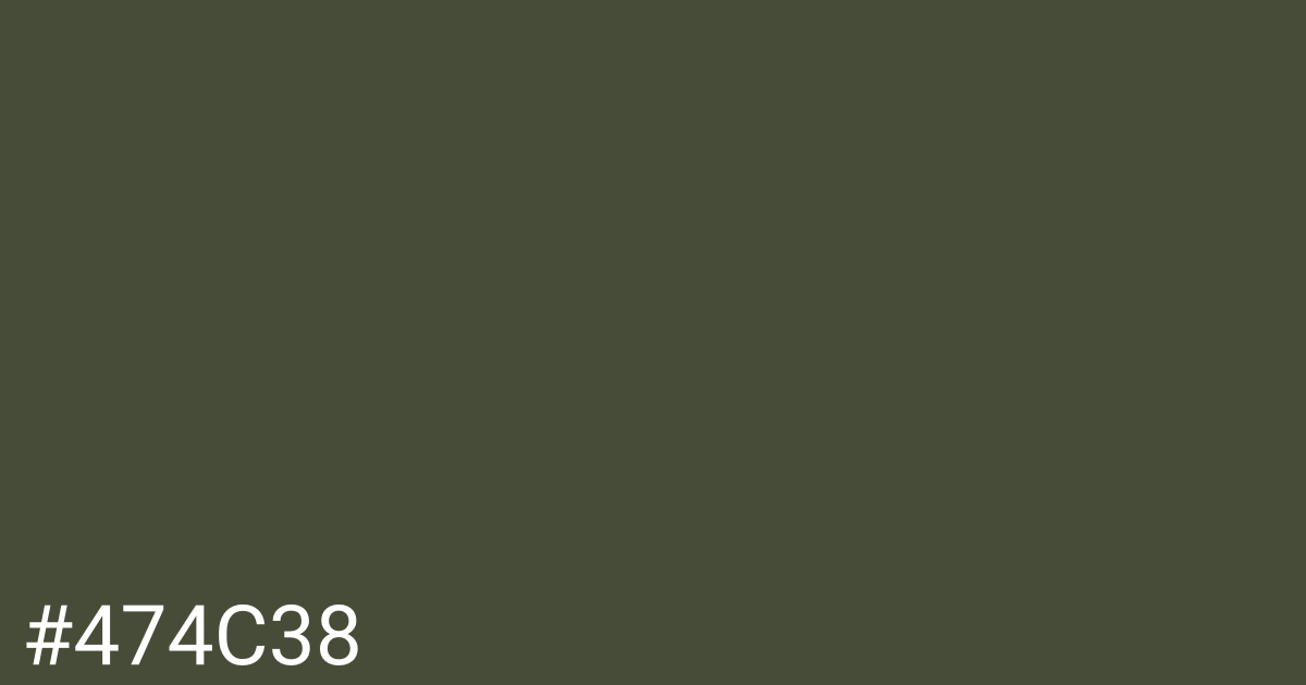 Hex color #474c38 graphic