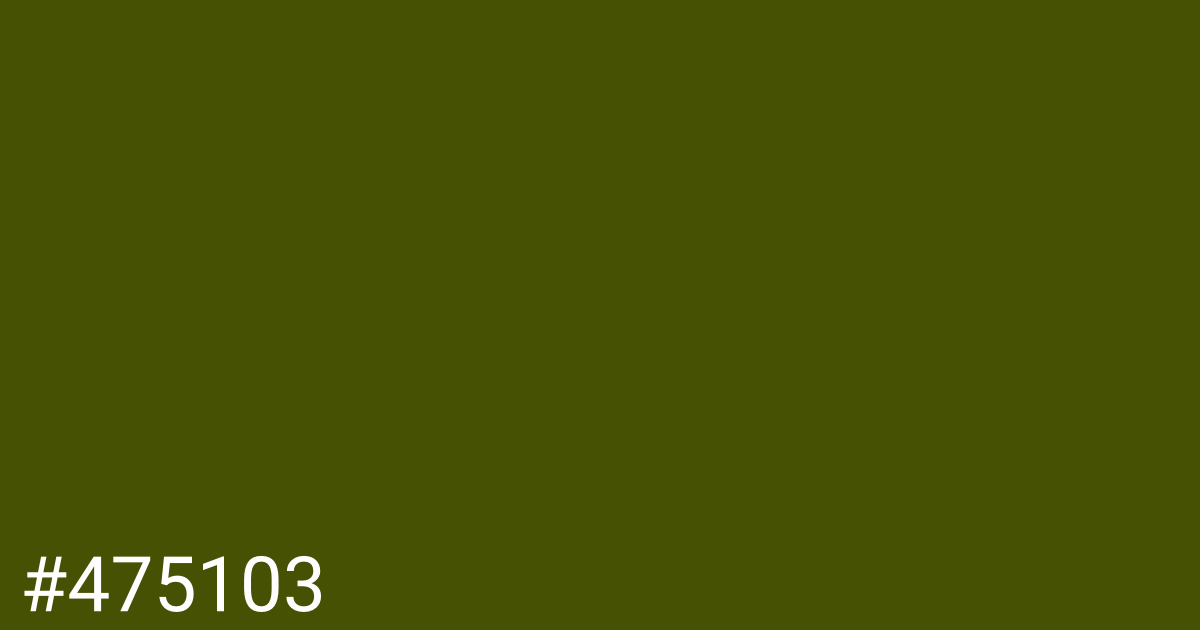 Hex color #475103 graphic