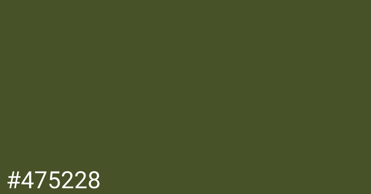Hex color #475228 graphic