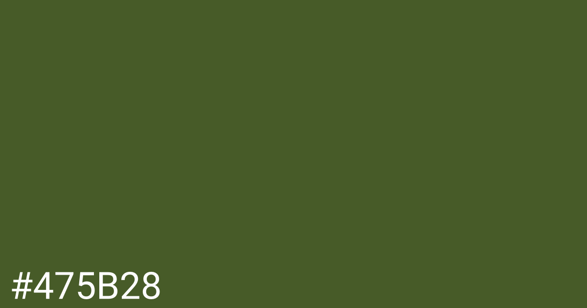 Hex color #475b28 graphic