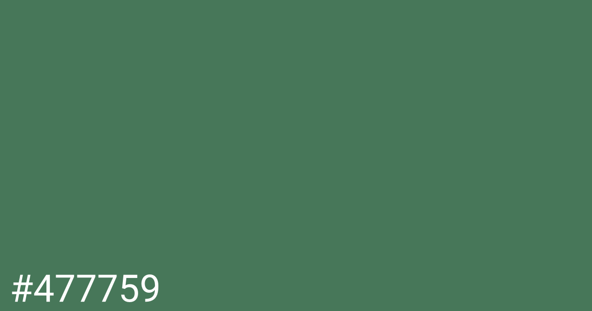 Hex color #477759 graphic