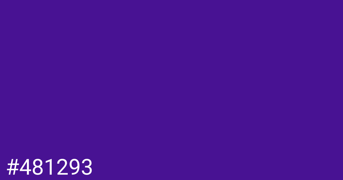 Hex color #481293 graphic