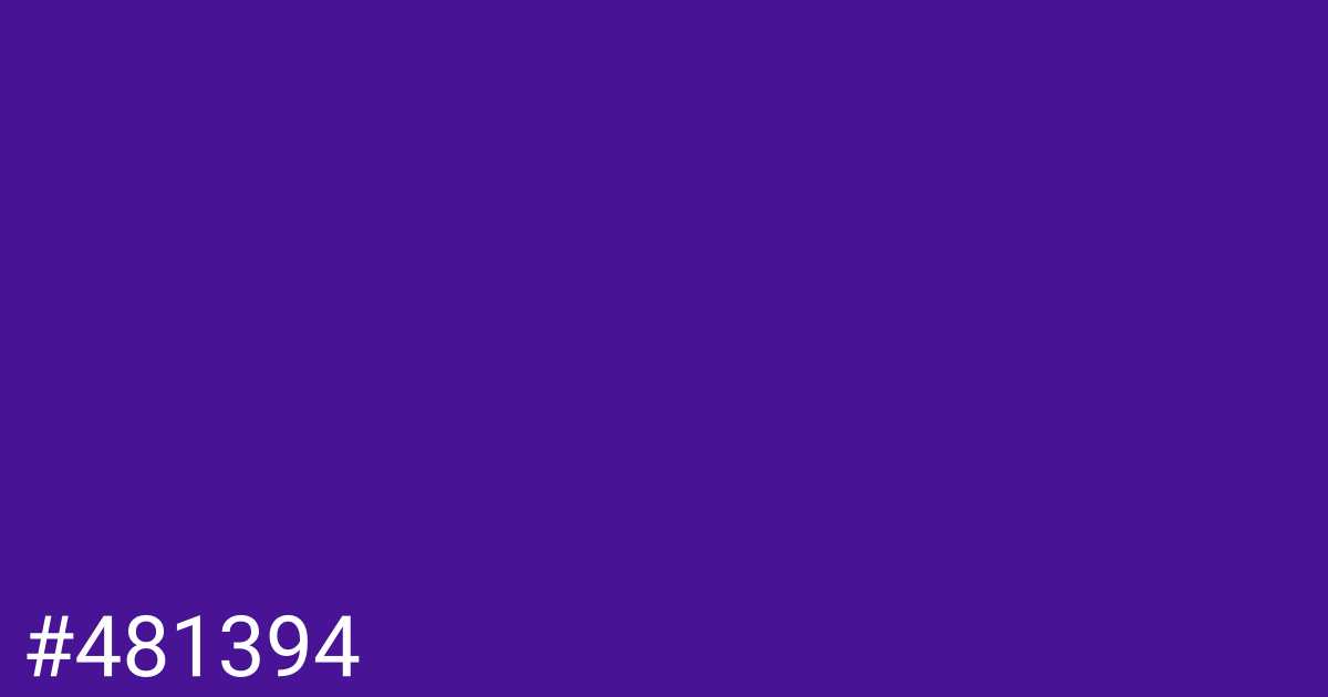 Hex color #481394 graphic