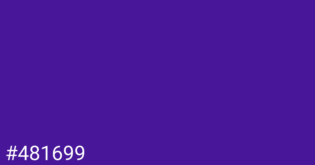 Hex color #481699 graphic