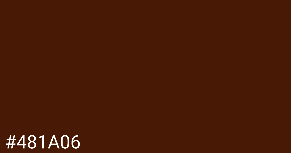 Hex color #481a06 graphic