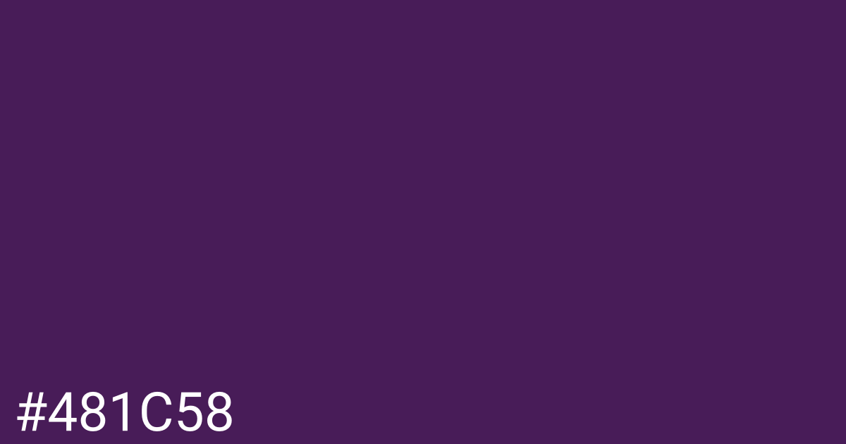 Hex color #481c58 graphic