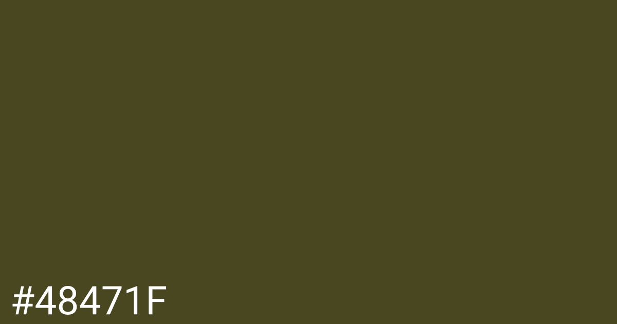 Hex color #48471f graphic