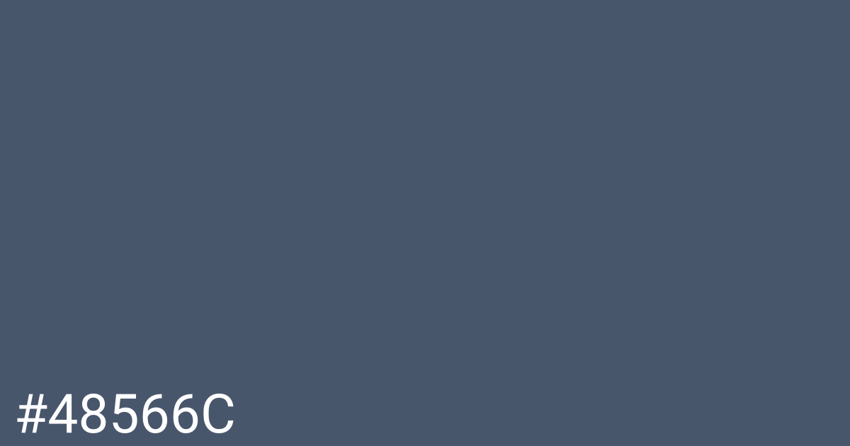 Hex color #48566c graphic
