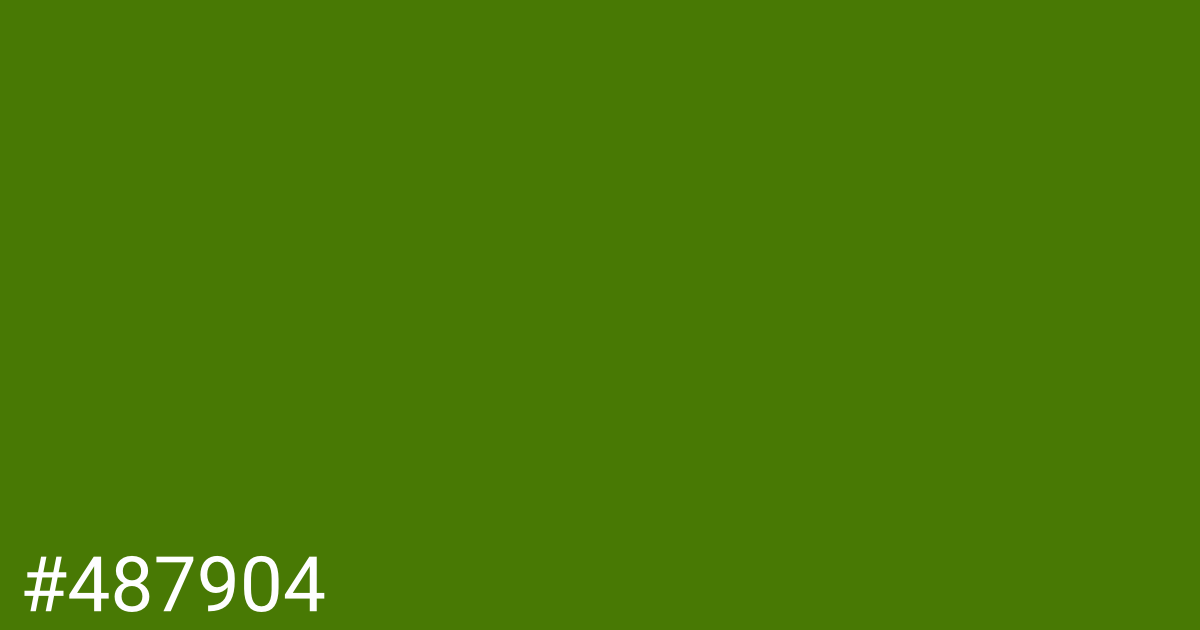 Hex color #487904 graphic