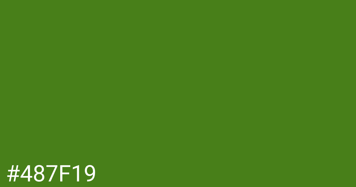 Hex color #487f19 graphic