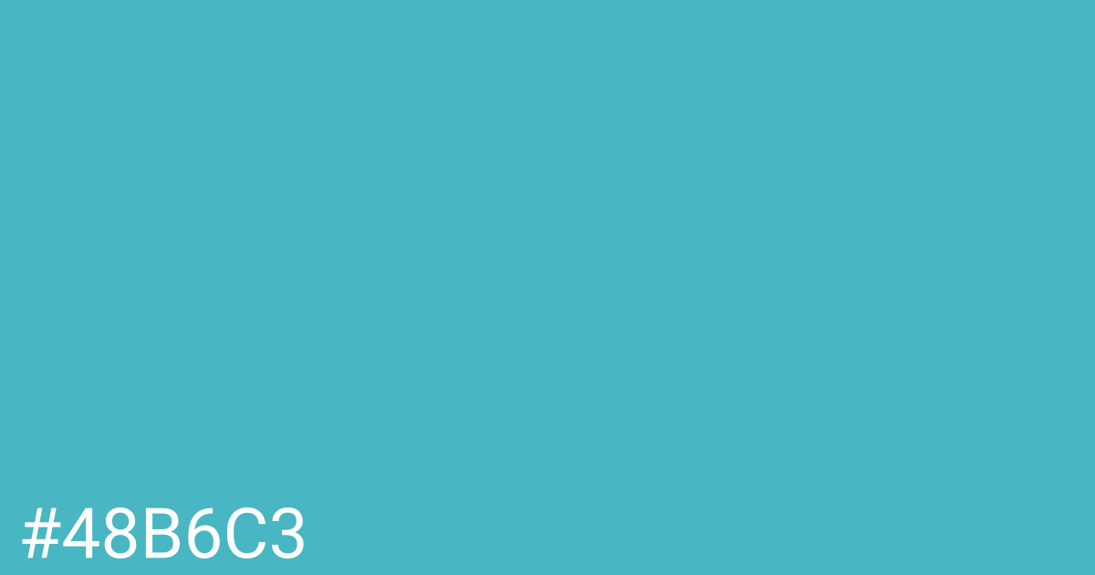 Hex color #48b6c3 graphic