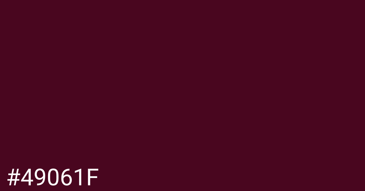 Hex color #49061f graphic