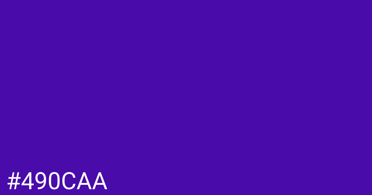 Hex color #490caa graphic