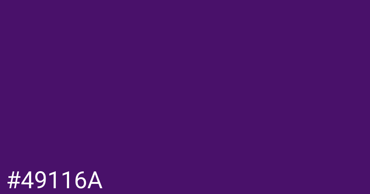 Hex color #49116a graphic