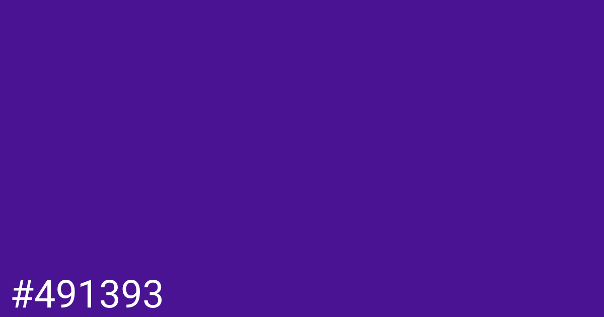 Hex color #491393 graphic