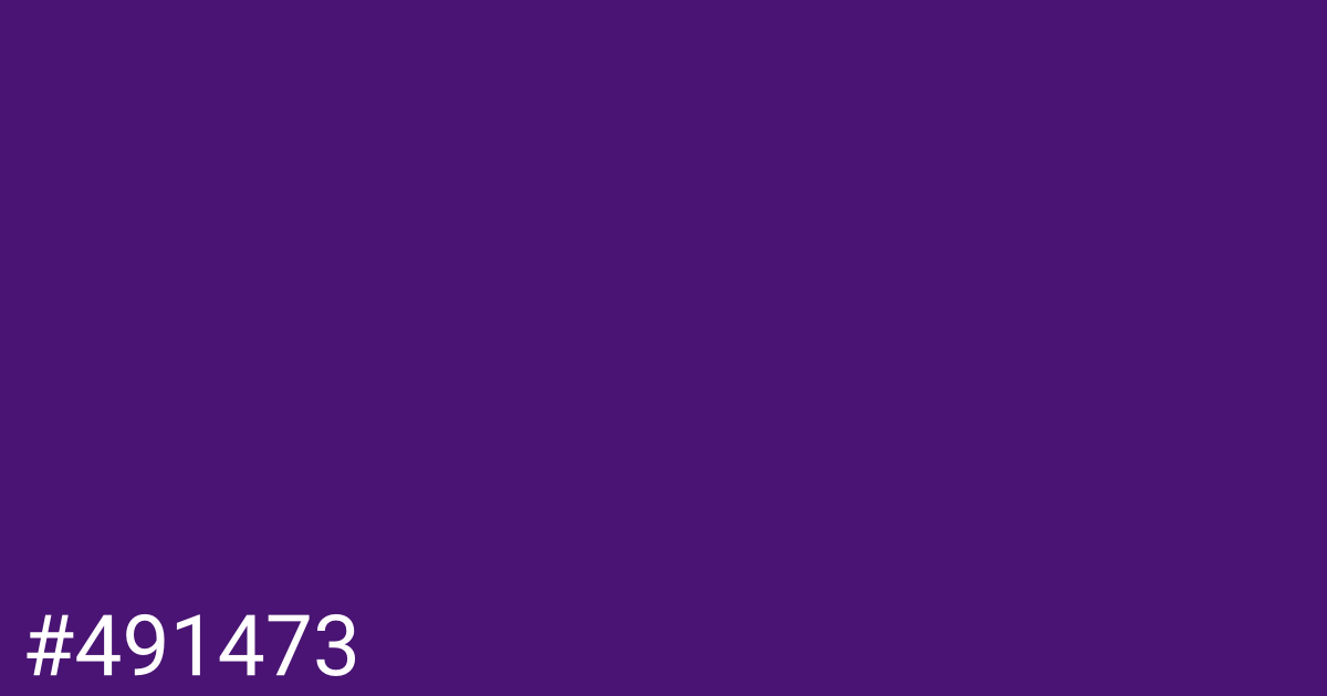 Hex color #491473 graphic