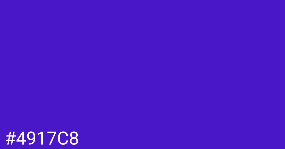 Hex color #4917c8 graphic