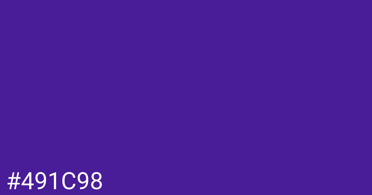 Hex color #491c98 graphic