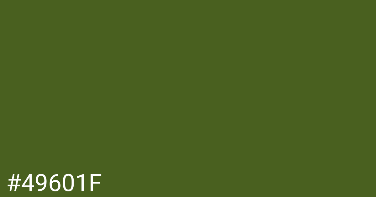 Hex color #49601f graphic