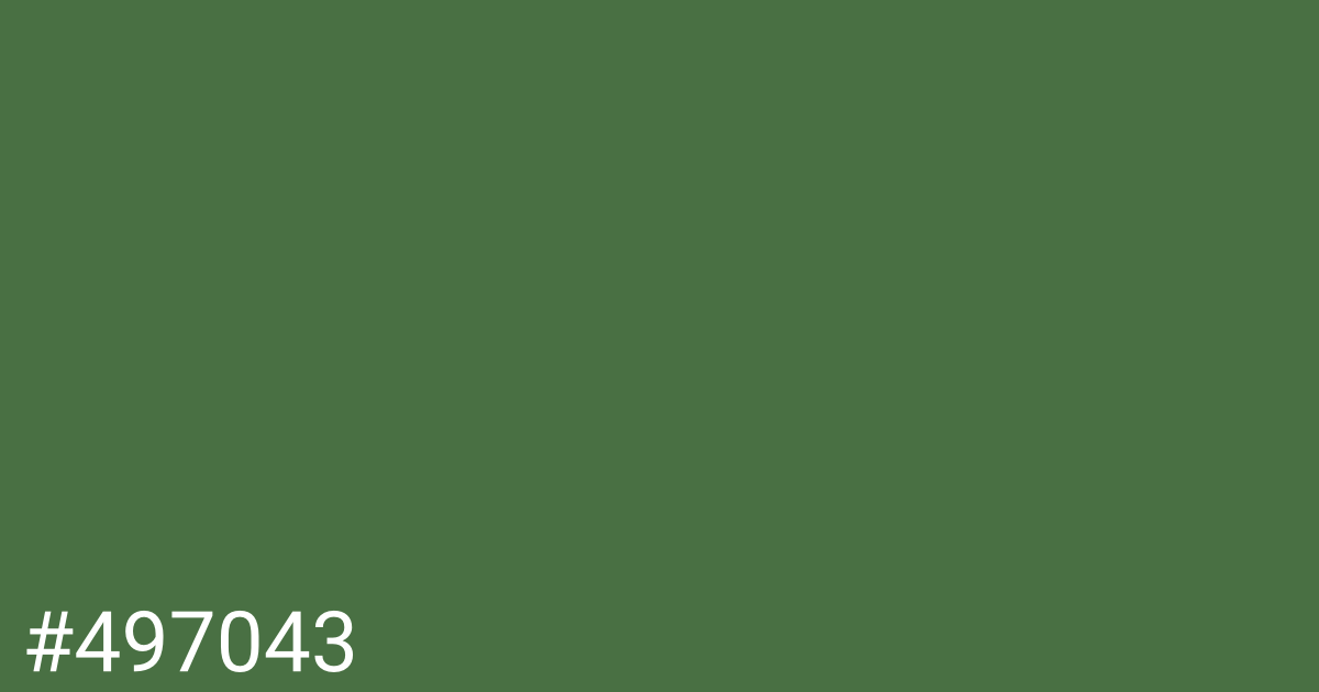 Hex color #497043 graphic