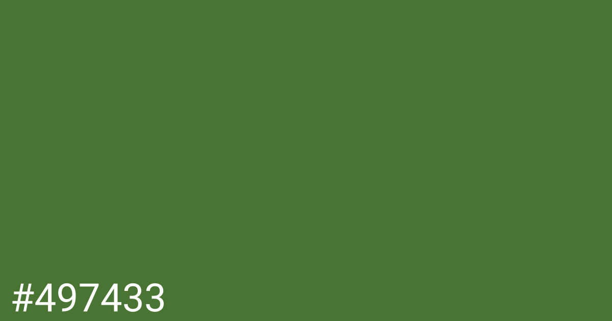 Hex color #497433 graphic