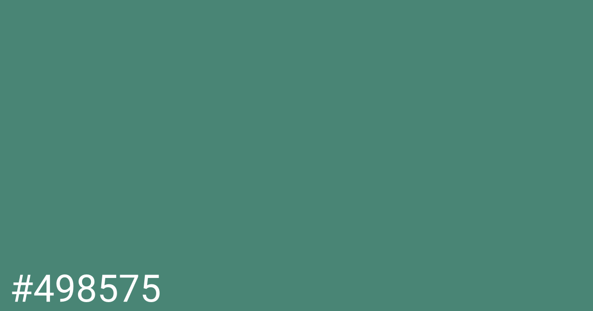 Hex color #498575 graphic