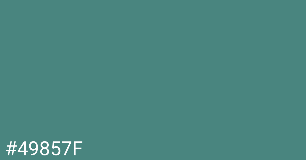 Hex color #49857f graphic