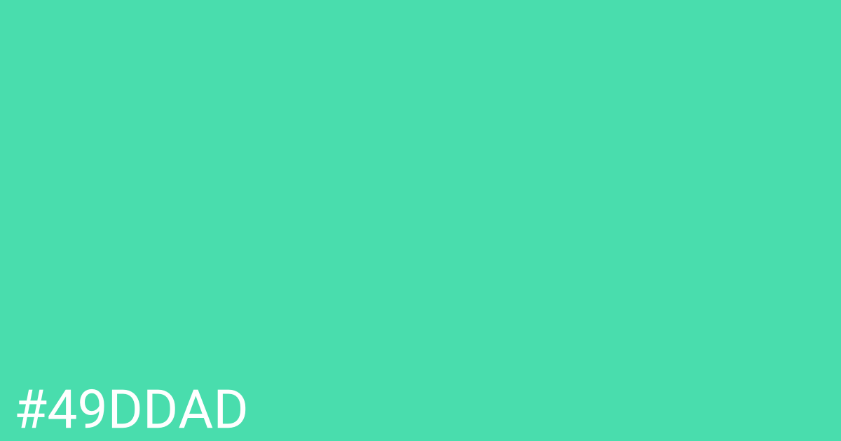 Hex color #49ddad graphic