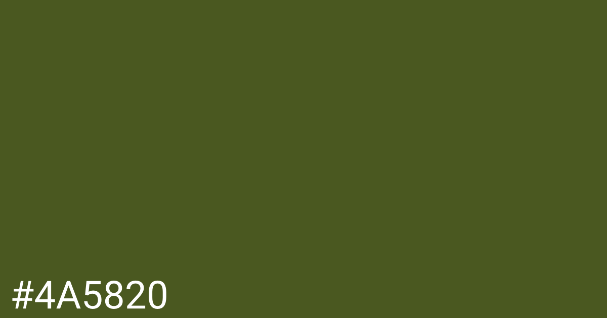 Hex color #4a5820 graphic
