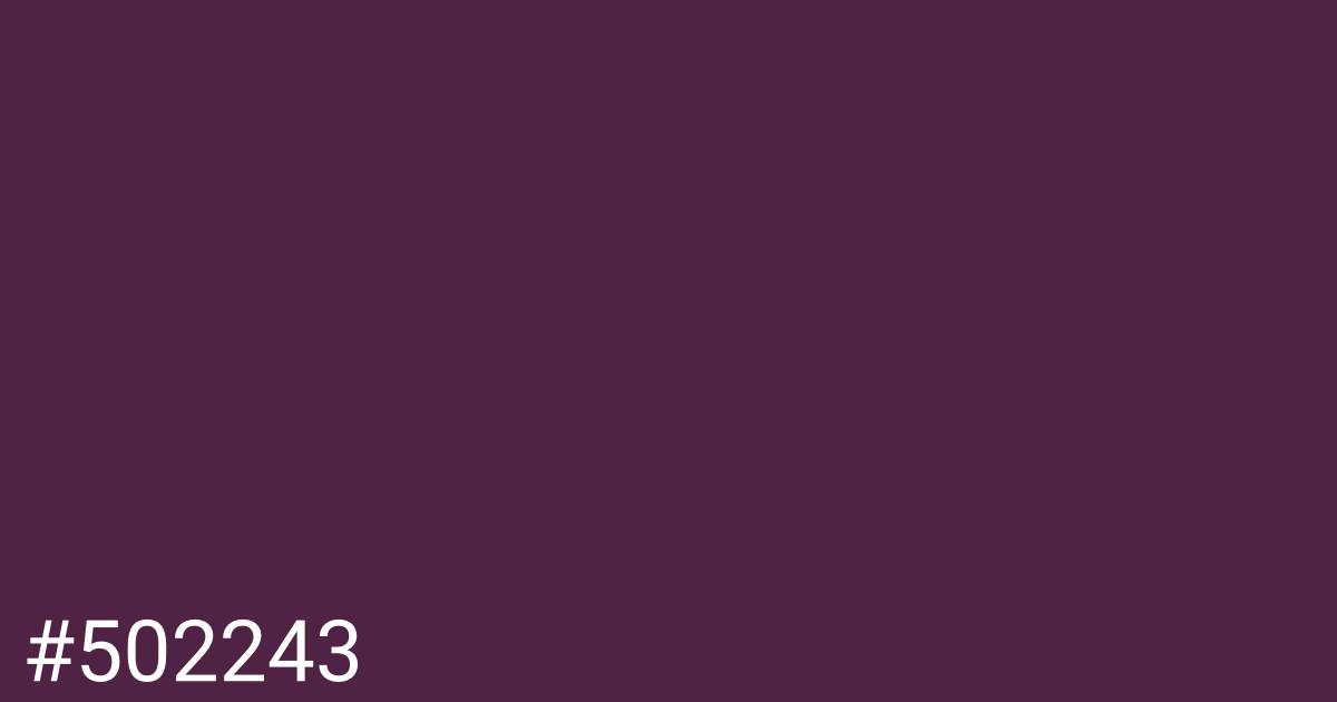 Hex color #502243 graphic