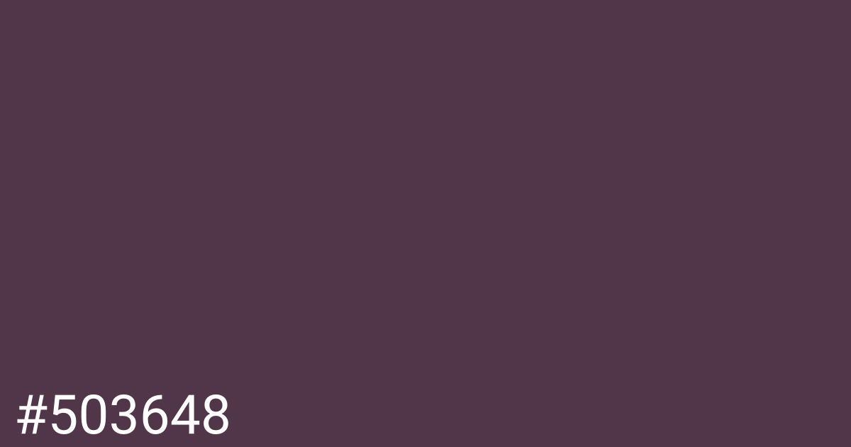 Hex color #503648 graphic