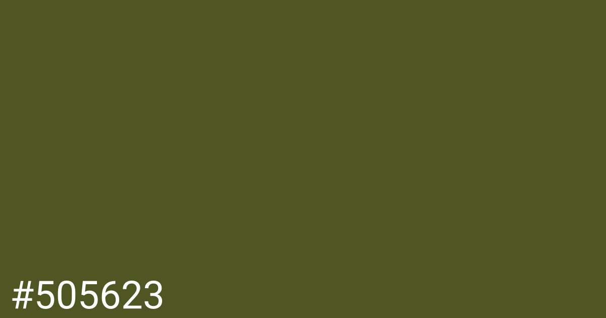 Hex color #505623 graphic