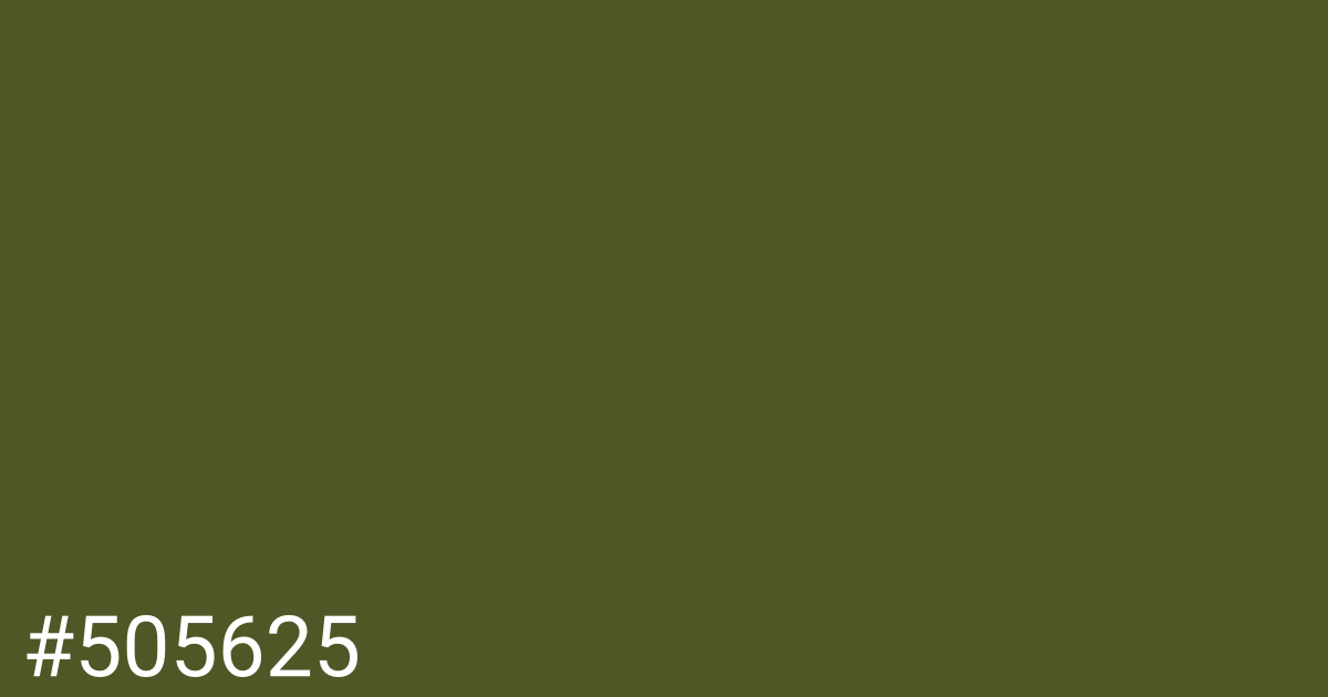 Hex color #505625 graphic