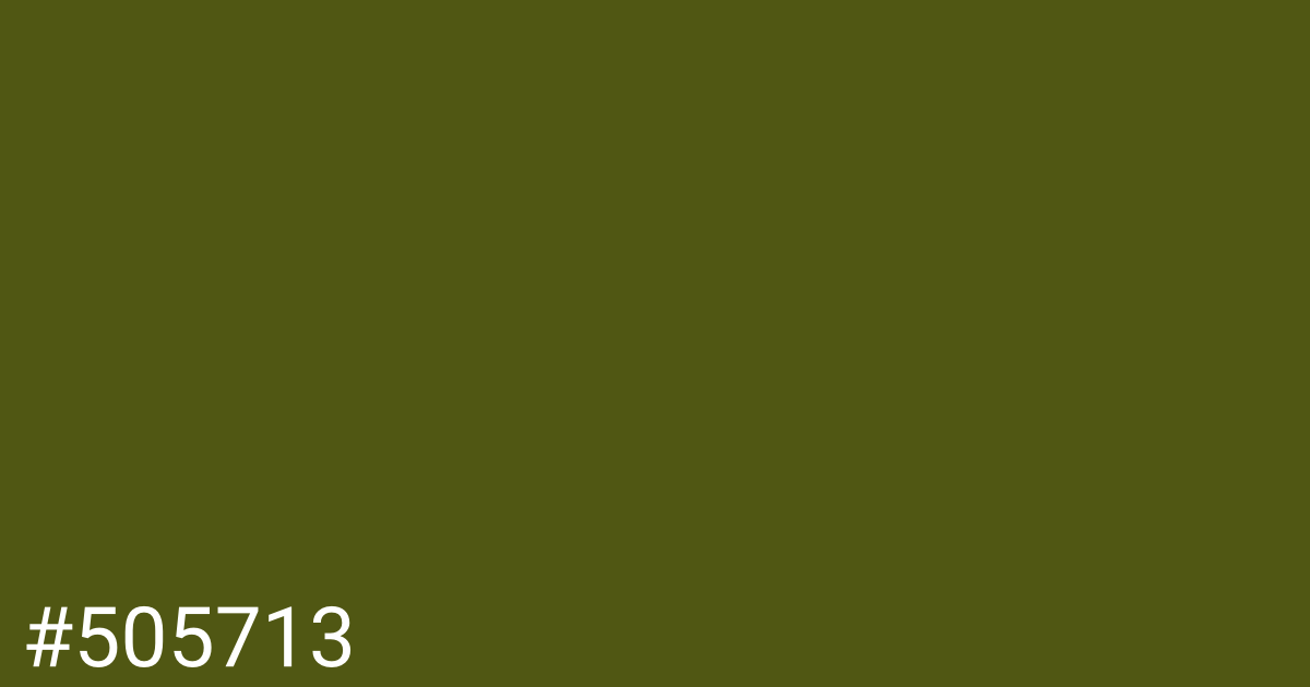 Hex color #505713 graphic